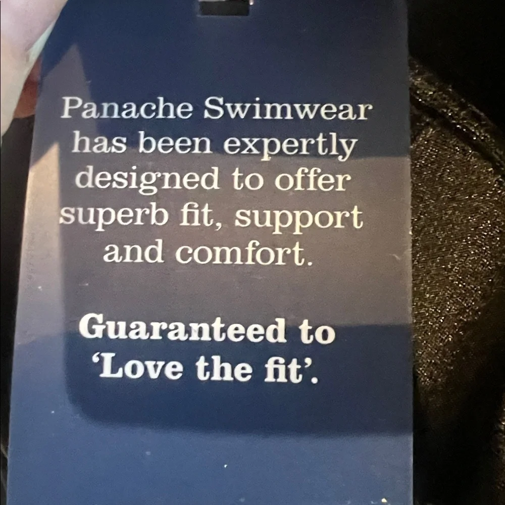 BNWT Panache Geneva Plunge Bikini Top 34DD - Picture 7 of 7